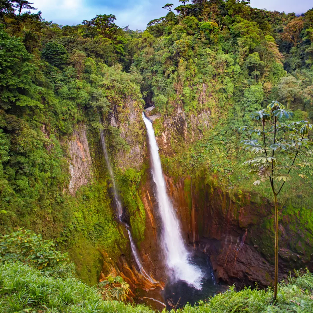 waterfall in a tropical rainforest