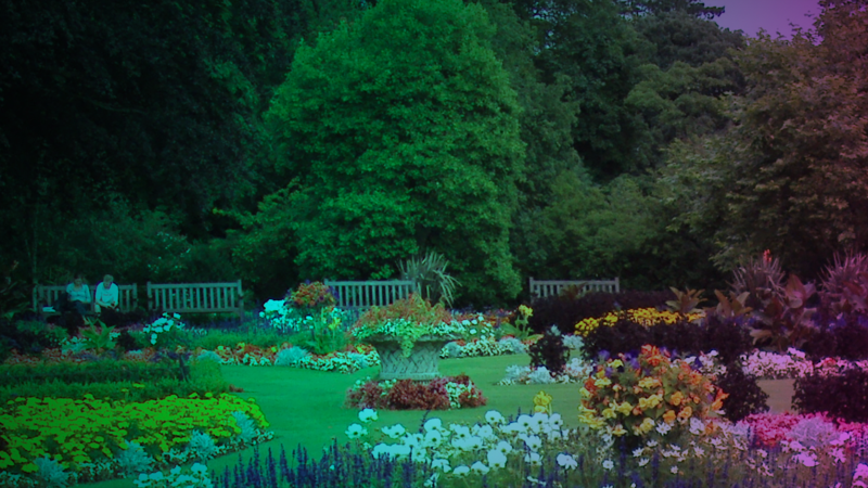 Scene lit by cyan and magenta lights.