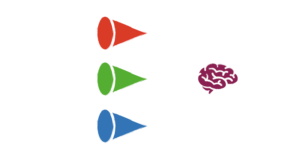 Red, green, and blue cones in front of a brain.